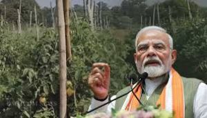 मोदी ने सब्जी क्रांति के लिए कालाहांडी के किसानों की सराहना की