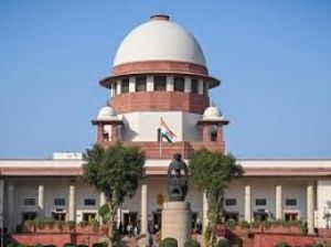  न्यायालय ने याचिकाकर्ता से पूछा: गरीबों के लिए धन का इस्तेमाल किया जाए या साइकिल ट्रैक बनाने के लिए?