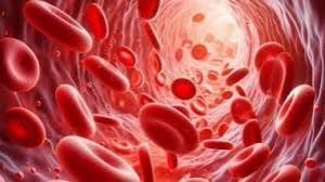  एनीमिया के ज्यादातर मामले आयरन की कमी के अलावा अन्य कारणों से : अध्ययन