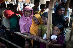 रेलवे सुरक्षा बल ने 586 बांग्लादेशी और 318 रोहिंग्या को पकड़ा : रेल मंत्रालय रेलवे सुरक्षा बल ने 586 बांग्लादेशी और 318 रोहिंग्या को पकड़ा : रेल मंत्रालय