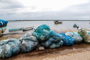  WEF 2025 : दुनिया के 25 देश प्लास्टिक प्रदूषण और क्लाइमेट चेंज के खिलाफ हुए एकजुट