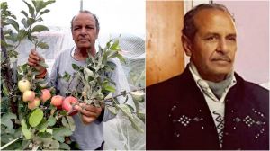 भारत के एप्पल मैन हरिमन शर्मा को पद्मश्री पुरस्कार, उनके नवाचार से सेब की बागवानी में आई क्रांति