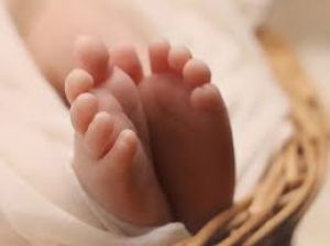 महाकुंभ में कहीं पैदा हुई गंगा, जमुना तो कहीं जन्में भोलेनाथ महाकुंभ में कहीं पैदा हुई गंगा, जमुना तो कहीं जन्में भोलेनाथ