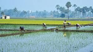 भारत के साथ कृषि-सहयोग बढ़ाने चाहता है चिली भारत के साथ कृषि-सहयोग बढ़ाने चाहता है चिली