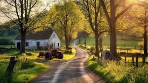 शादी में भव्य आयोजन की जगह, एकत्र धन से ग्रामीणों के लिए बनवा दी सड़क