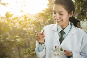 अब हर साल 23 सितंबर को मनाया जाएगा आयुर्वेद दिवस : केंद्र