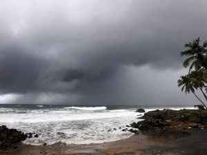 किसानों को लिए अच्छी खबर...मानसून पहुंचा केरल किसानों को लिए अच्छी खबर...मानसून पहुंचा केरल