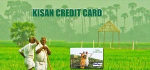 केंद्रीय कैबिनेट ने वित्त वर्ष 2025-26 के लिए एमआईएसएस के अंतर्गत ब्याज छूट को दी मंजूरी