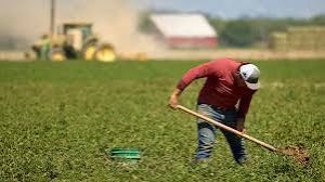 किसान संगठन एफएआईएफए का जलवायु अनुकूल कृषि प्रौद्योगिकियों में निवेश बढ़ाने का आह्वान