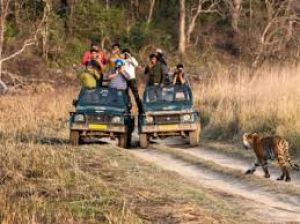  मानसून में भी खुले हैं ये नेशनल पार्क