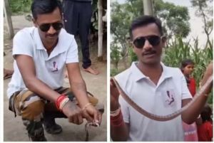  सर्प मित्र के नाम से मशहूर जेपी यादव की कोबरा के काटने से मौत