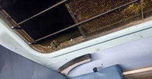 जनशताब्दी एक्सप्रेस पर पत्थरबाजी, खिड़की का शीशा टूटा जनशताब्दी एक्सप्रेस पर पत्थरबाजी, खिड़की का शीशा टूटा