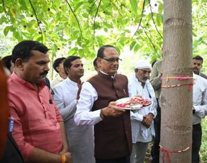 केंद्रीय मंत्री शिवराज सिंह चौहान ने पेड़ को राखी बांधकर पर्यावरण संरक्षण का संदेश दिया