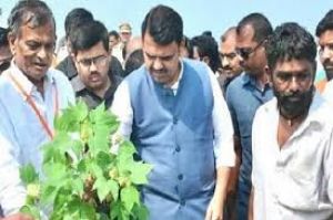  महाराष्ट्र में भारी बारिश से लाखों एकड़ फसल बर्बाद, किसानों की चिंता बढ़ी