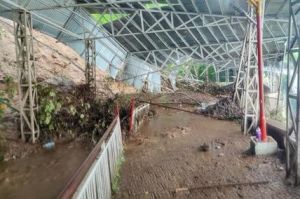 वैष्णो देवी मार्ग पर भूस्खलन हादसे की जांच कमेटी गठित, दो हफ्ते में रिपोर्ट सौंपने के निर्देश वैष्णो देवी मार्ग पर भूस्खलन हादसे की जांच कमेटी गठित, दो हफ्ते में रिपोर्ट सौंपने के निर्देश