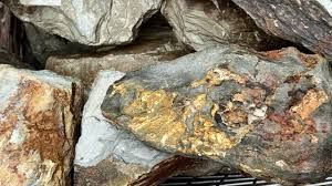 कैबिनेट ने 1,500 करोड़ रुपये की क्रिटिकल मिनरल्स रीसाइक्लिंग योजना को दी मंजूरी कैबिनेट ने 1,500 करोड़ रुपये की क्रिटिकल मिनरल्स रीसाइक्लिंग योजना को दी मंजूरी