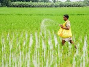 खूब बरसा मॉनसून, खरीफ को मिला फायदा, लेकिन बाढ़-भूस्खलन से भारी तबाही; लाखों हेक्टेयर फसलें बरबाद खूब बरसा मॉनसून, खरीफ को मिला फायदा, लेकिन बाढ़-भूस्खलन से भारी तबाही; लाखों हेक्टेयर फसलें बरबाद