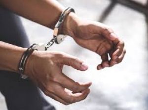  मुंबई हवाई अड्डे पर 20 करोड़ रुपये मूल्य का हाइड्रोपोनिक गांजा जब्त, तीन गिरफ्तार