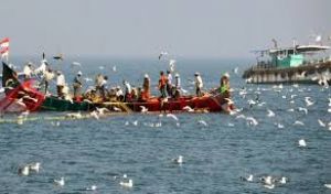  केंद्र ने गहरे समुद्र में मछली पकड़ने के नए नियम जारी किए, मछुआरों के लिए क्या हैं फायदे