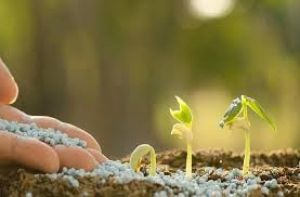 उर्वरक से लेकर रोजमर्रा के यौगिक कैसे बदल जाते हैं विस्फोटकों में