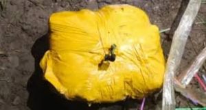 ड्रोन से गिराई गई 12 किलोग्राम हेरोइन बरामद