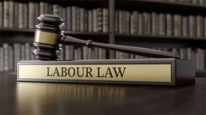 श्रम सुधारों को 2025 में बढ़ावा मिला,चार आचार संहिताओं के 2026 में लागू होने की संभावना