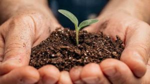 केंद्र ने दो लाख करोड़ रुपये की उर्वरक सब्सिडी देने के लिए डिजिटल प्रणाली शुरू की