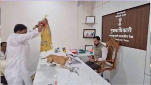 नासिक में प्रदर्शनकारियों ने स्थानीय निकाय अधिकारी की मेज पर छोड़े आवारा कुत्ते