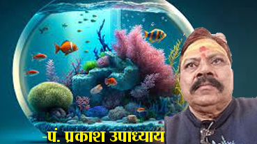 घर में फिश एक्वेरियम रखना शुभ या अशुभ... घर में फिश एक्वेरियम रखना शुभ या अशुभ...