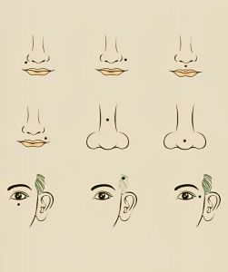  जानें शरीर के विभिन्न भागों पर तिल का फल....