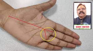 हाथ के ये 3 योग, दिलाते हैं कामयाबी और धन-संपत्ति का सुख