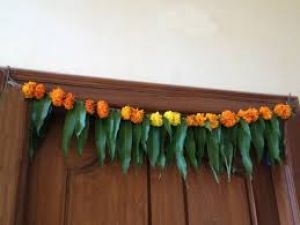  घर के प्रवेश द्वार पर आम के पत्तों का तोरण क्यों बांधा जाता है? 