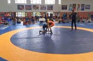  जूनियर पहलवानों के प्रदर्शन के बाद तदर्थ पैनल ने अंडर-15 और अंडर-20 चैंपियनशिप की घोषणा की