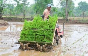  किसान चोहलदास साहू को धान पैडी ट्रान्सप्लांटर से रोपा लगाने में हो रही मेहनत एवं समय की बचत