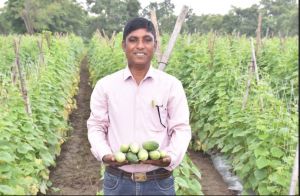  खीरे की बम्पर पैदावार होने से बदल गई किसान सुरेश सिन्हा की तकदीर